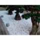 Galets EN MARBRE BLANC En Vrac 60-100 mm EN BIG BAG D'1 TONNE
