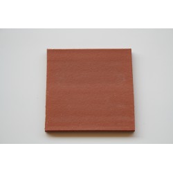 Carreaux terre cuite lisse rouge 19.2x19.2x1.3 cm brut