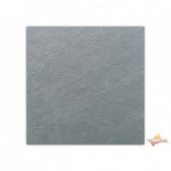 Carreaux d'Ardoise Gris vert 600x600x10 mm