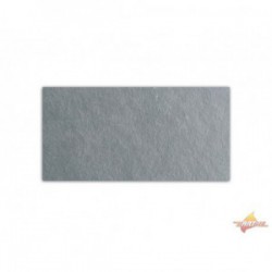 Carreaux d Ardoise Gris vert 600x300x10mm